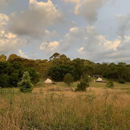Iluka Retreat Glamping Village Red Hill South Eksteriør bilde