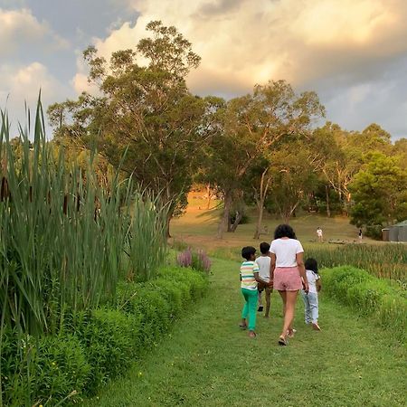 Iluka Retreat Glamping Village Red Hill South Eksteriør bilde