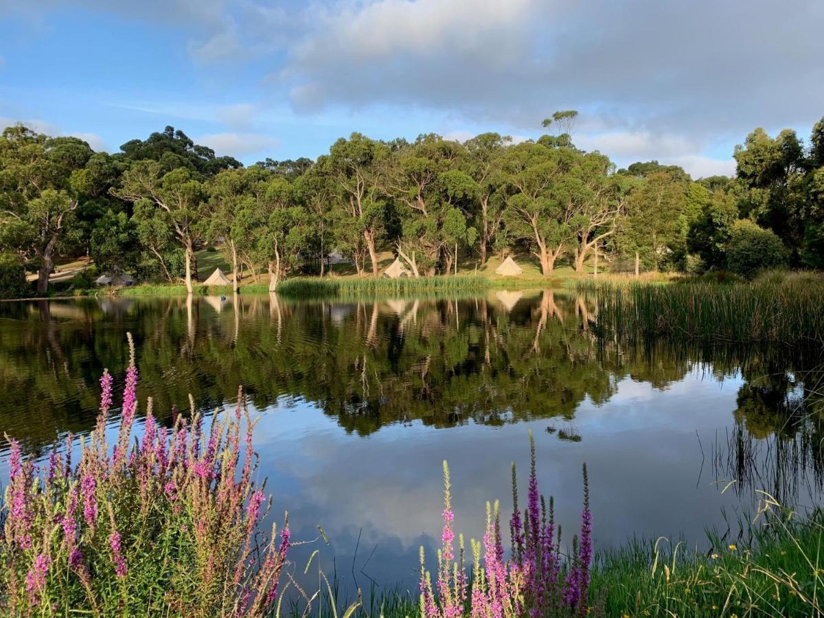 Iluka Retreat Glamping Village Red Hill South Eksteriør bilde