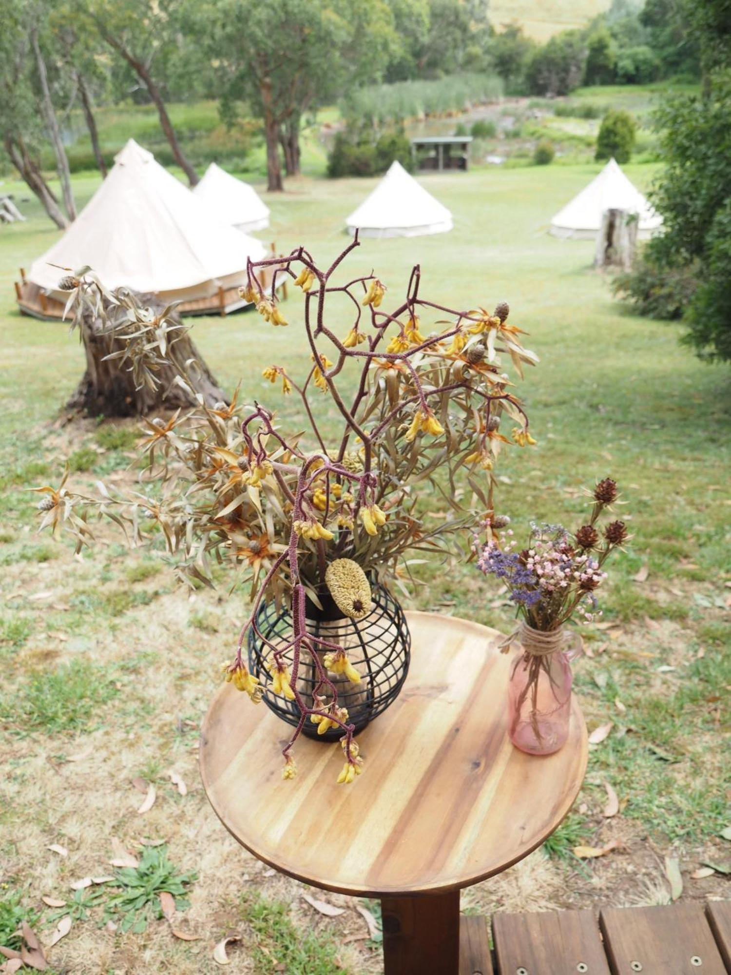 Iluka Retreat Glamping Village Red Hill South Eksteriør bilde