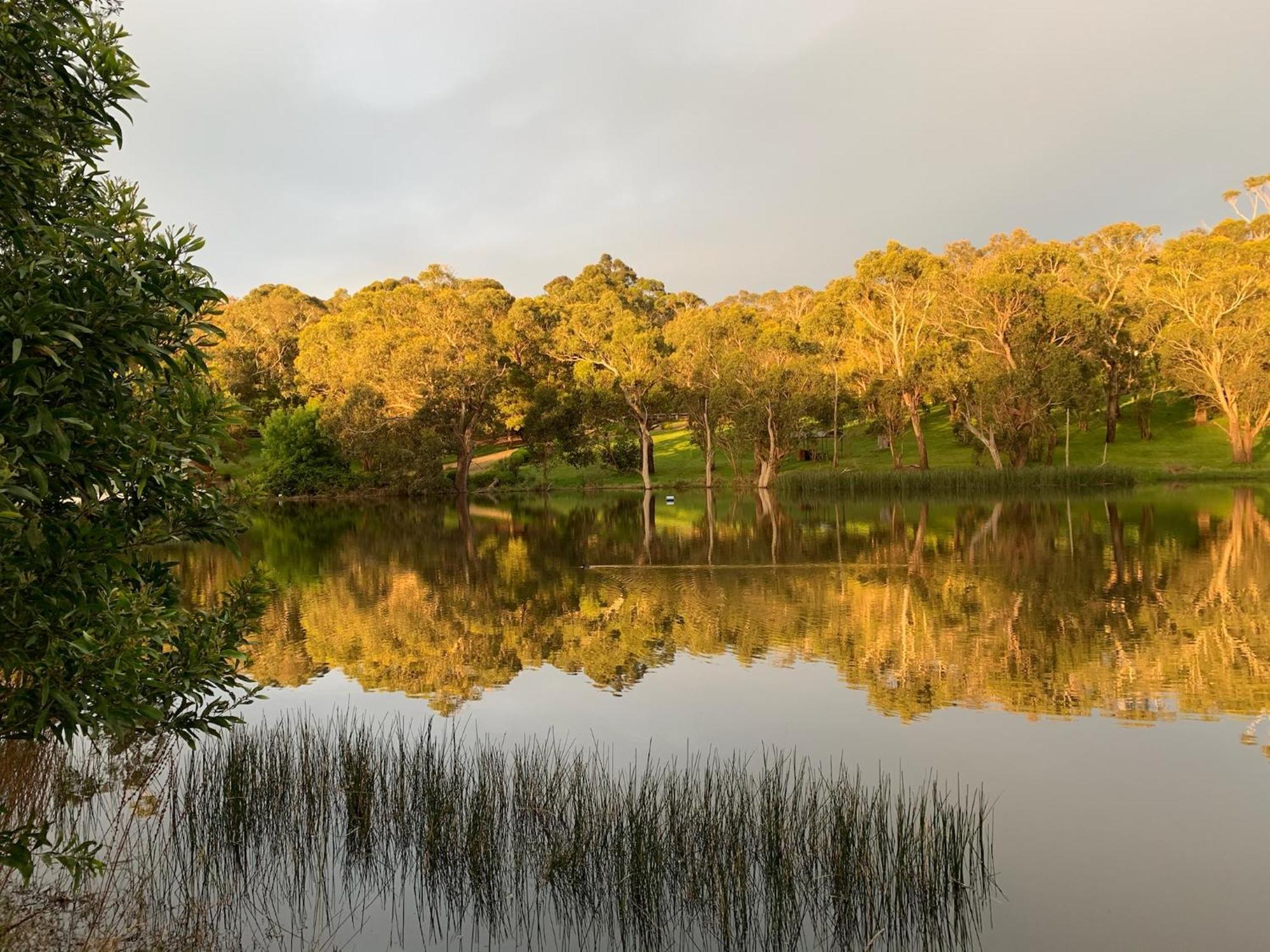 Iluka Retreat Glamping Village Red Hill South Eksteriør bilde