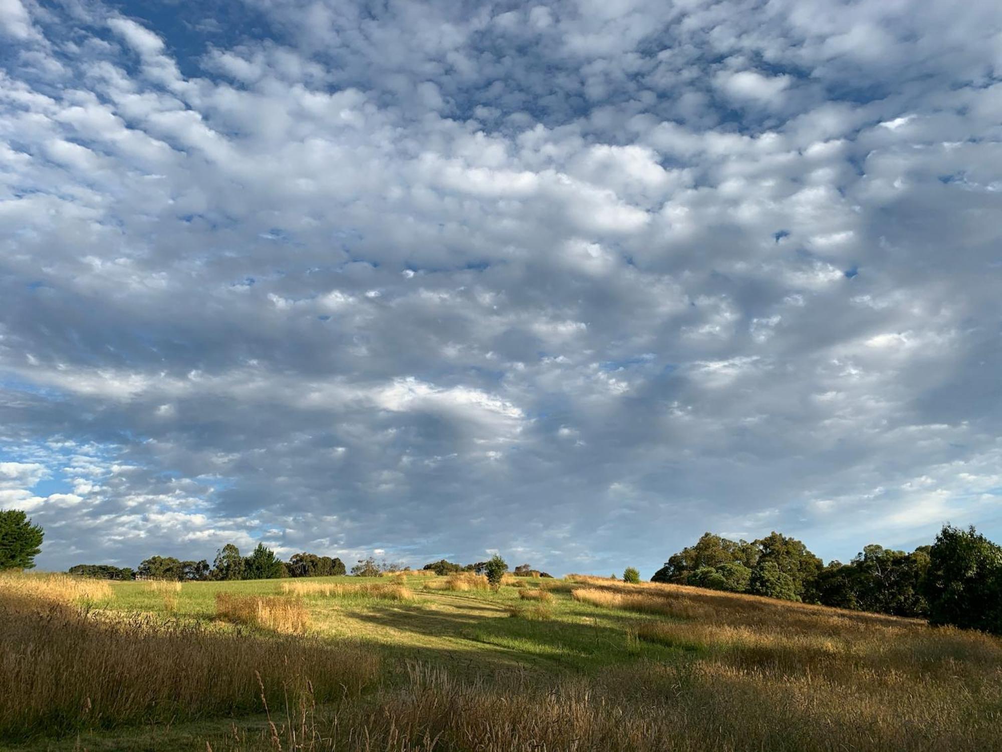 Iluka Retreat Glamping Village Red Hill South Eksteriør bilde