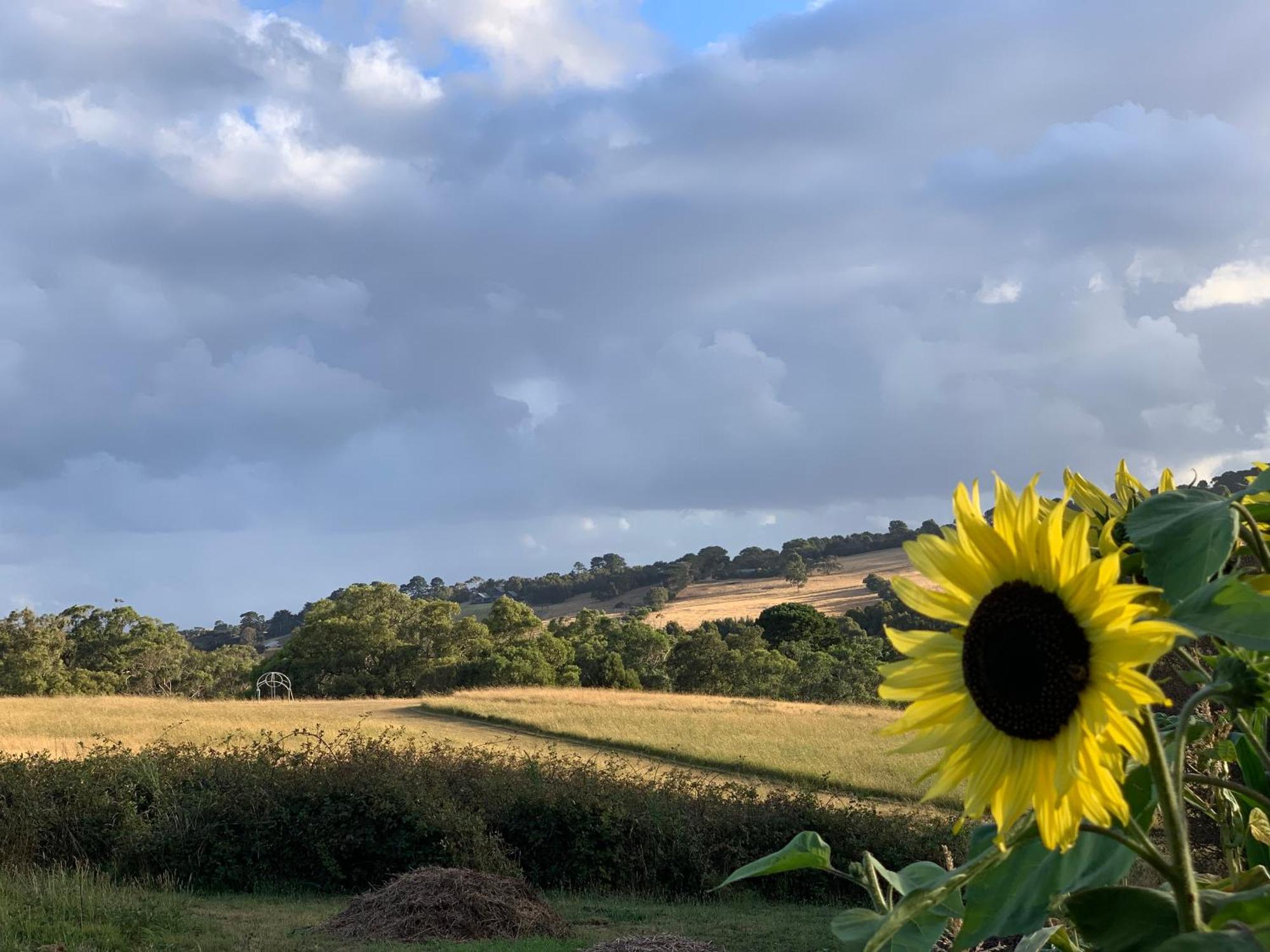 Iluka Retreat Glamping Village Red Hill South Eksteriør bilde