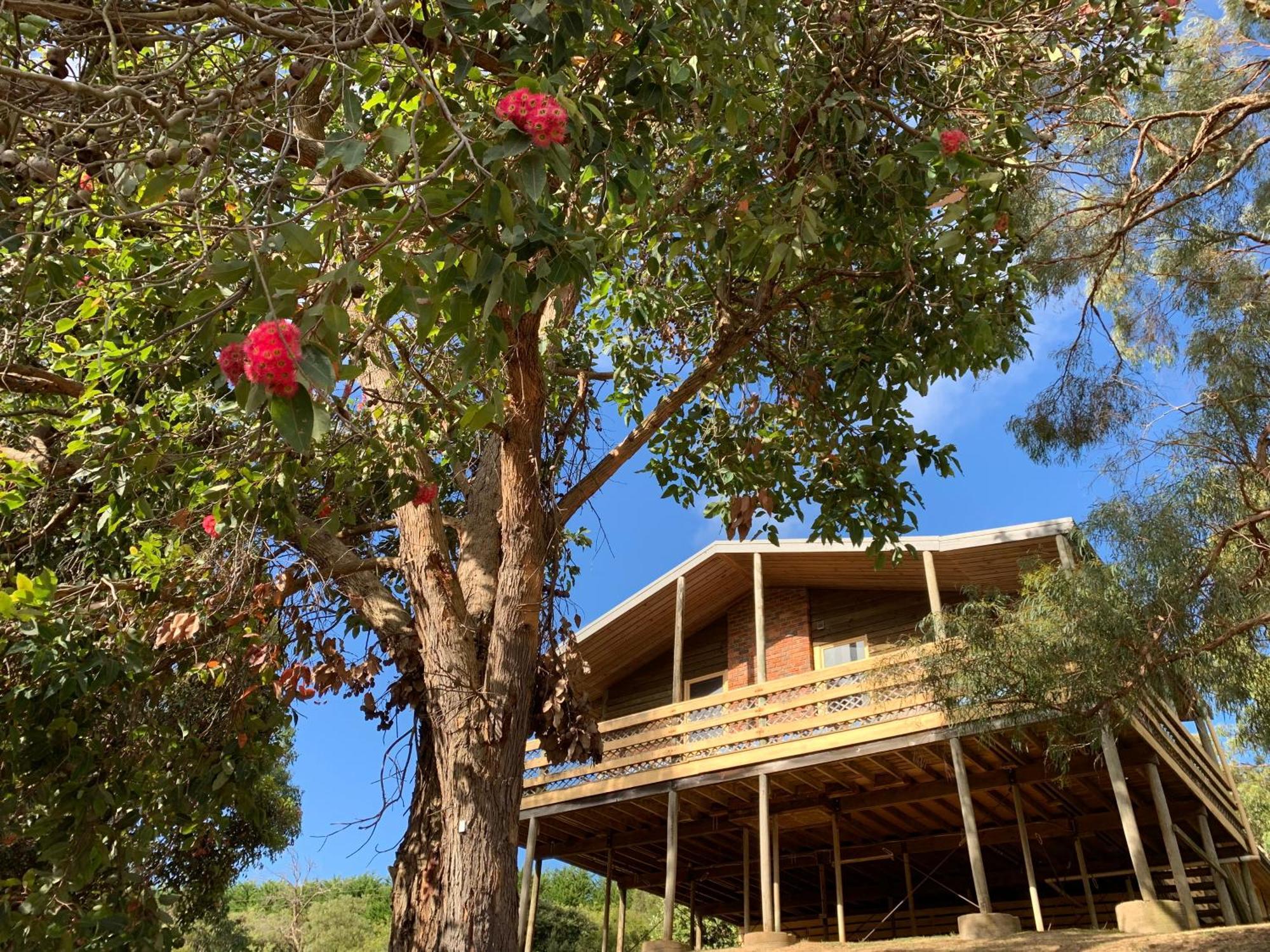 Iluka Retreat Glamping Village Red Hill South Eksteriør bilde
